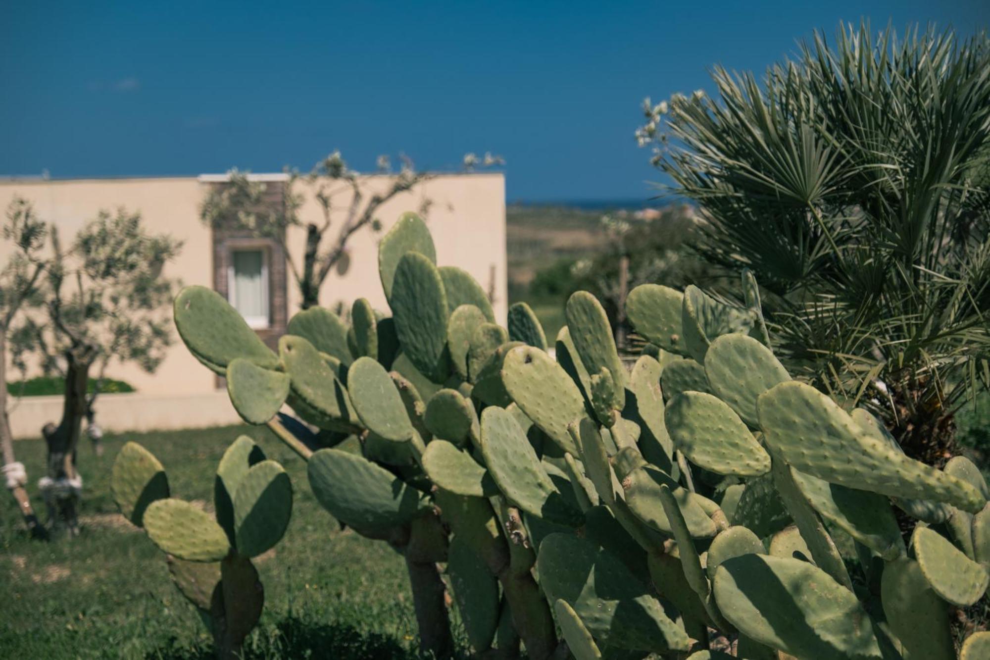 New Exclusive Lodges, Marzamemi, Noto Pachino Eksteriør bilde